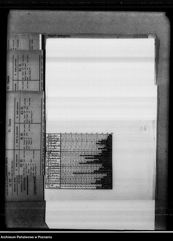 Obraz 20 z jednostki "Materiały dotyczące wyborów do Sejmu Ustawodawczego."