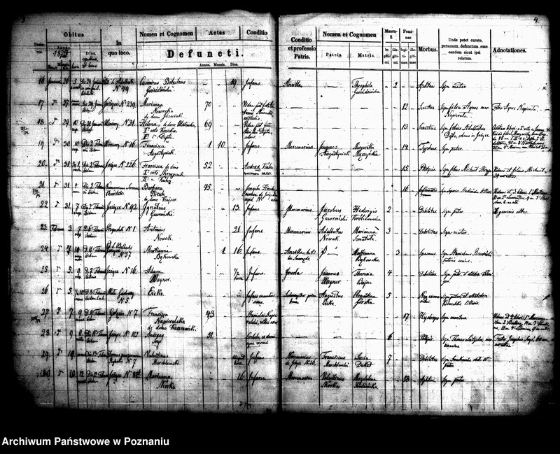 Obraz 4 z jednostki "Księga zgonów"