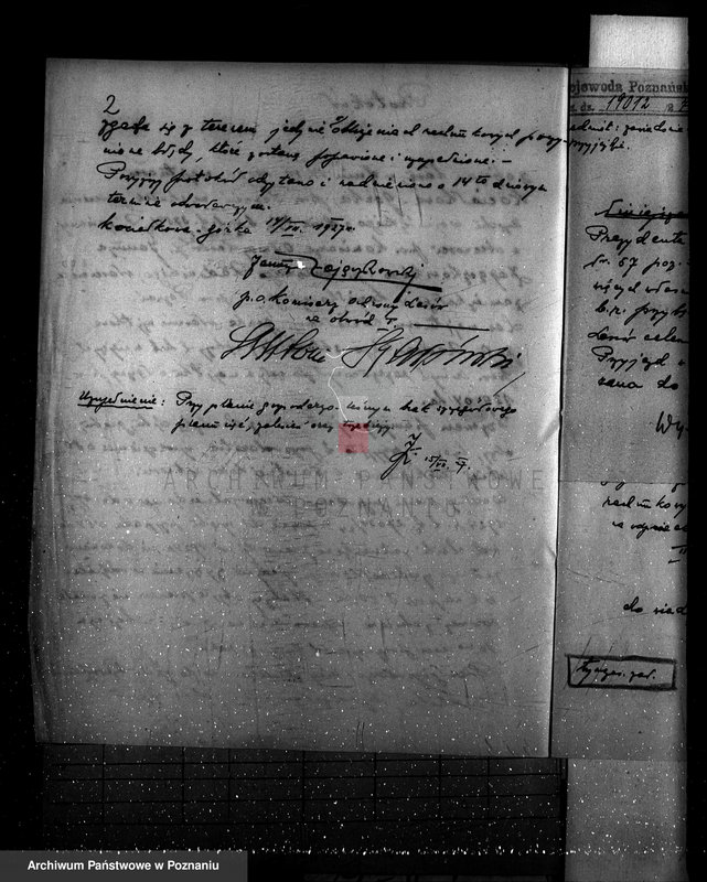 Obraz 6 z jednostki "Majętność leśna Kociałkowo powiat poznański"