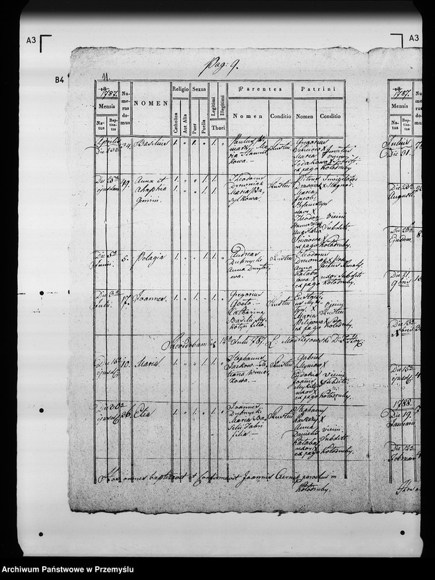 Obraz 14 z jednostki "[Kopie ksiąg metrykalnych parafii Kołodruby (dekanat Komarno)]"