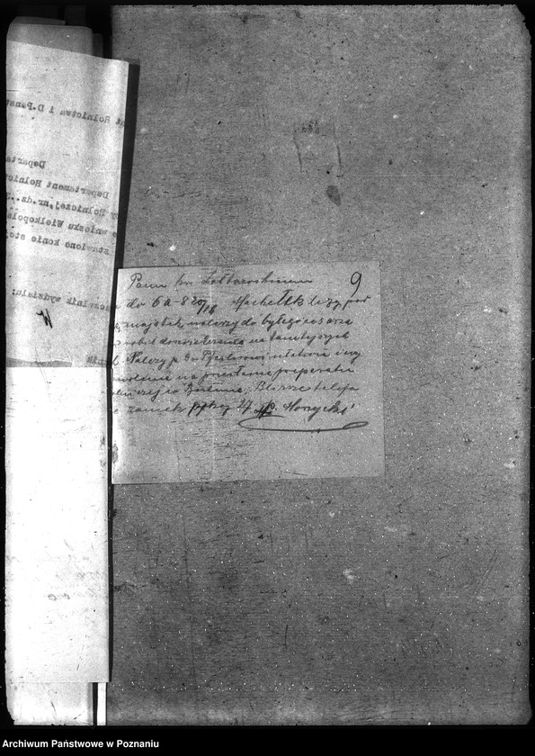 Obraz 13 z jednostki "Instytut Higieny Zwierząt w Bydgoszczy"