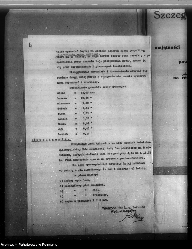 Obraz 8 z jednostki "Majątek Cieśle powiat grodziski /Nadzór nad gospodarką leśną/"