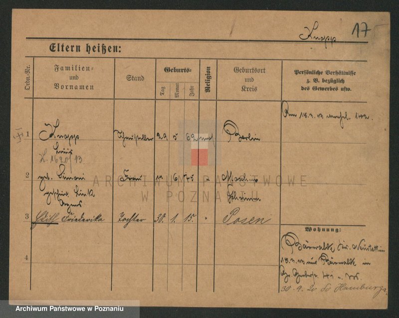 Obraz 17 z jednostki "Knop - Knytel"