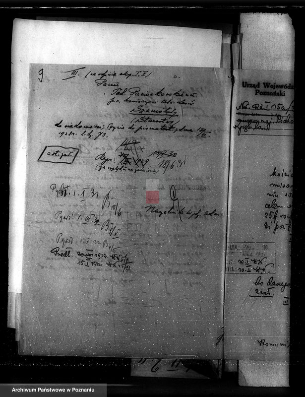 Obraz 13 z jednostki "Nadzór nad gospodarką w lasach majętności Cichowo powiat kościański"