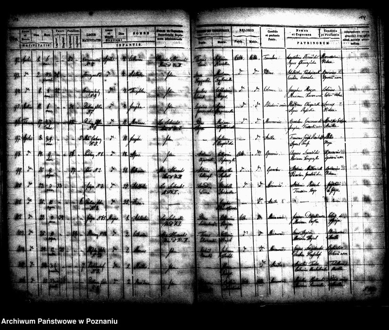 Obraz 9 z jednostki "Księga urodzin"