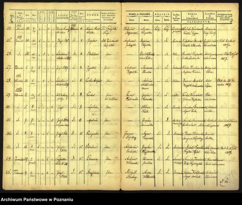 Obraz 6 z jednostki "Księga urodzin"