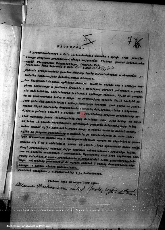 Obraz 11 z jednostki "Nadzór nad gospodarką w lasach majętności Cichowo powiat kościański"