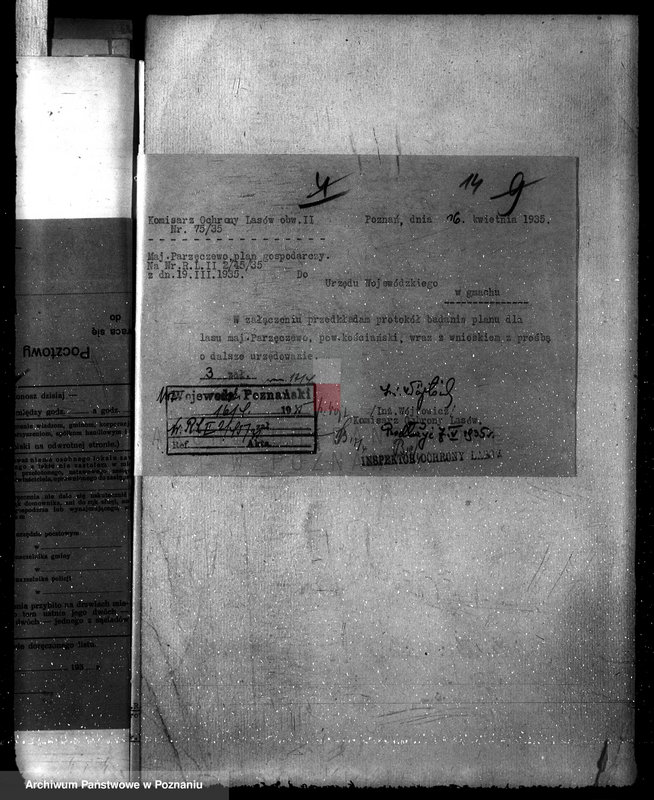 Obraz 18 z jednostki "Majętność leśna w Parzęcinie powiat kościański"