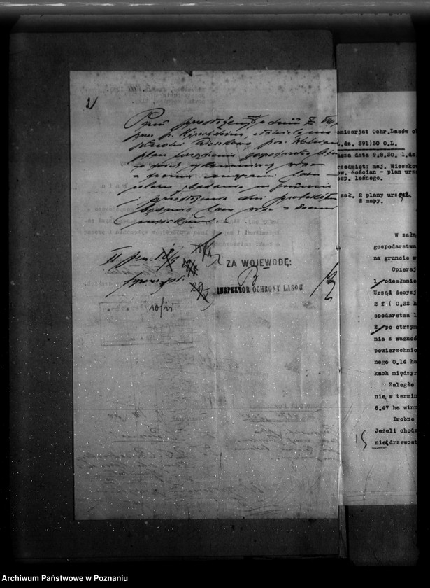 Obraz 7 z jednostki "Majętność /leśna/ Wieszkowo powiat kościański"