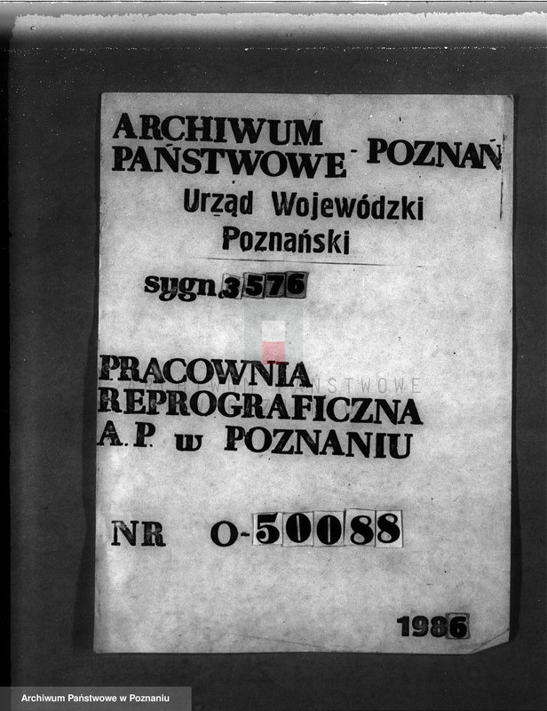 Obraz 1 z jednostki "Majętność leśna w Kwilczu w powiecie międzychodzkim"