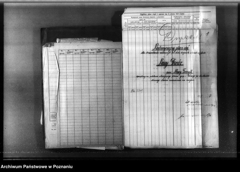 Obraz 5 z jednostki "Nadzór nad gospodarką w lasach majętności Nowy Dwór w powiecie nowotomyskim"