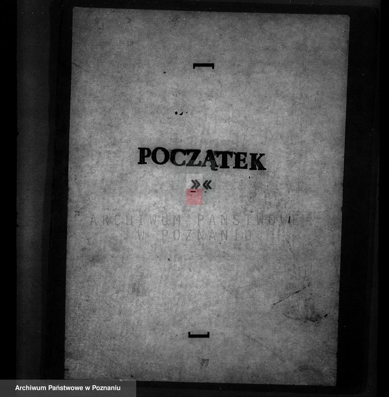 Obraz 3 z jednostki "Majętność leśna Swadzim powiat poznański"