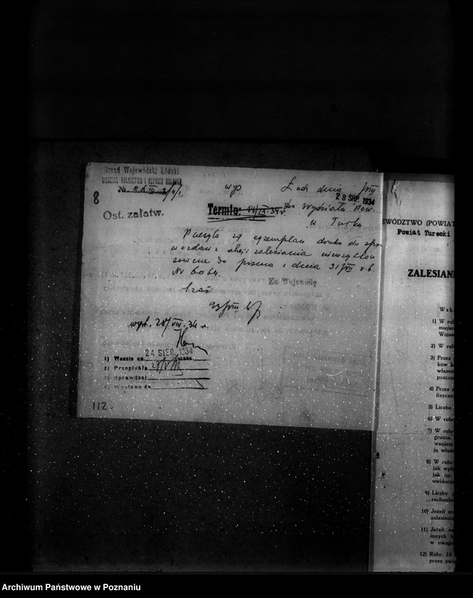 Obraz 12 z jednostki "Zalesienie nieużytków w powiecie tureckim"