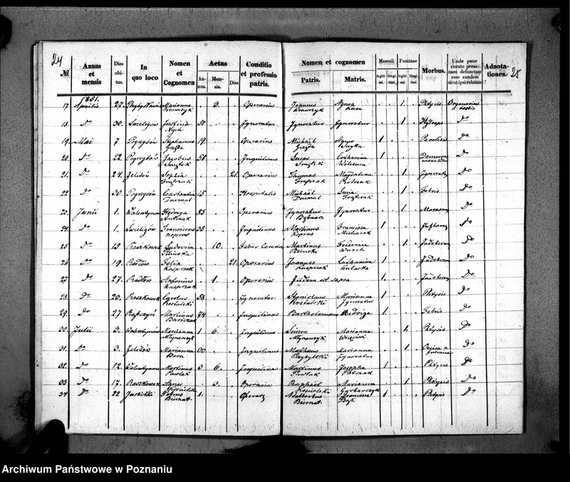 image.from.unit.number "Duplikaty urodzeń, małżeństw i zmarłych"