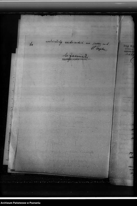 Obraz 20 z jednostki "Lasy majątku Brzeźno powiat koniński"