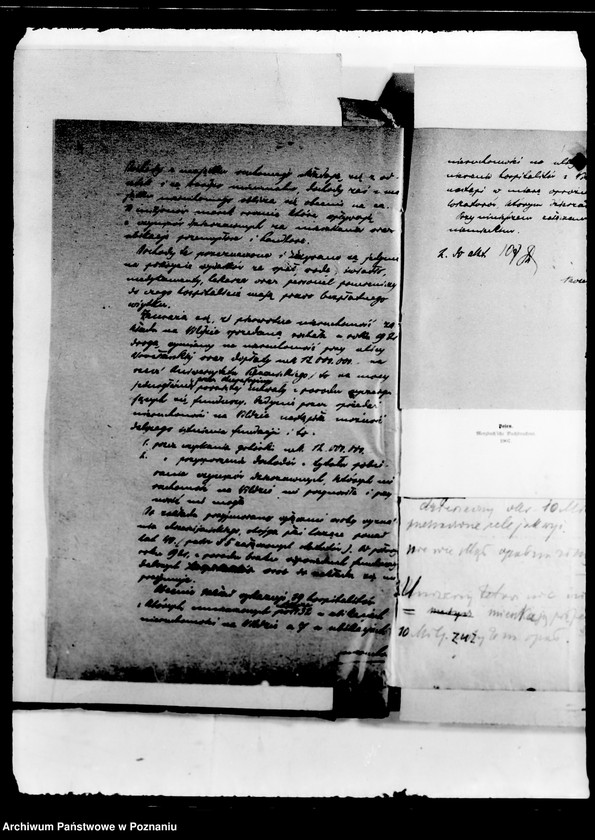 Obraz 8 z jednostki "Fundacja Garczyńskiego w Poznaniu"