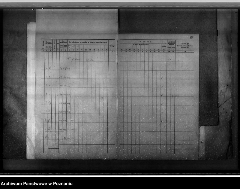 Obraz 14 z jednostki "Majętność leśna Węgierskie powiat średzki [opis lasu i plan cięć]"