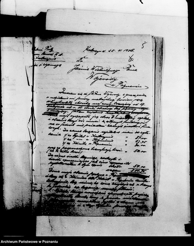 Obraz 8 z jednostki "/Fundacja Marii Stroedel/ zaopatrzenie"