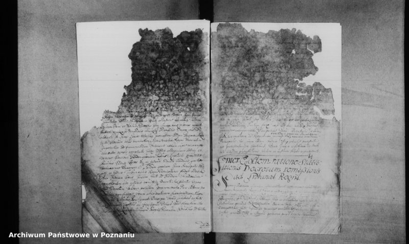 Obraz 7 z jednostki "Decreta officii [inducta]"