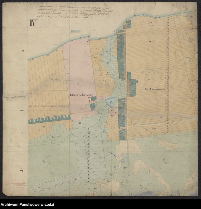 Obraz 3 z jednostki "Pieroworys Urządzenia Majoratu Radziechowice składający się z folwarków Radziechowice i Dąbrówka, Kolonii Radziechowice Brodowe i Dąbrowka, osady Czerkowizna, młyna Klekot oraz lasów przyległych ..."