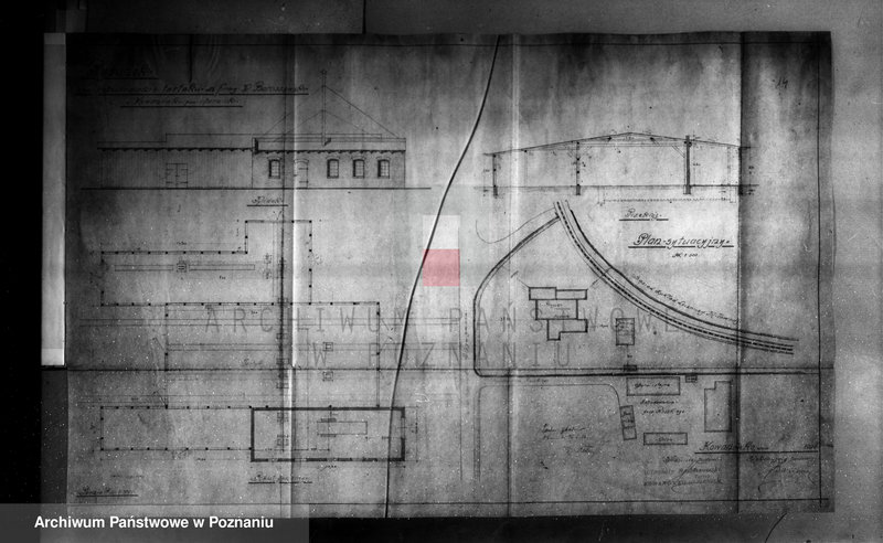 Obraz 18 z jednostki "Tartak Kowanówko, pow. obornicki nr woj. 1078"