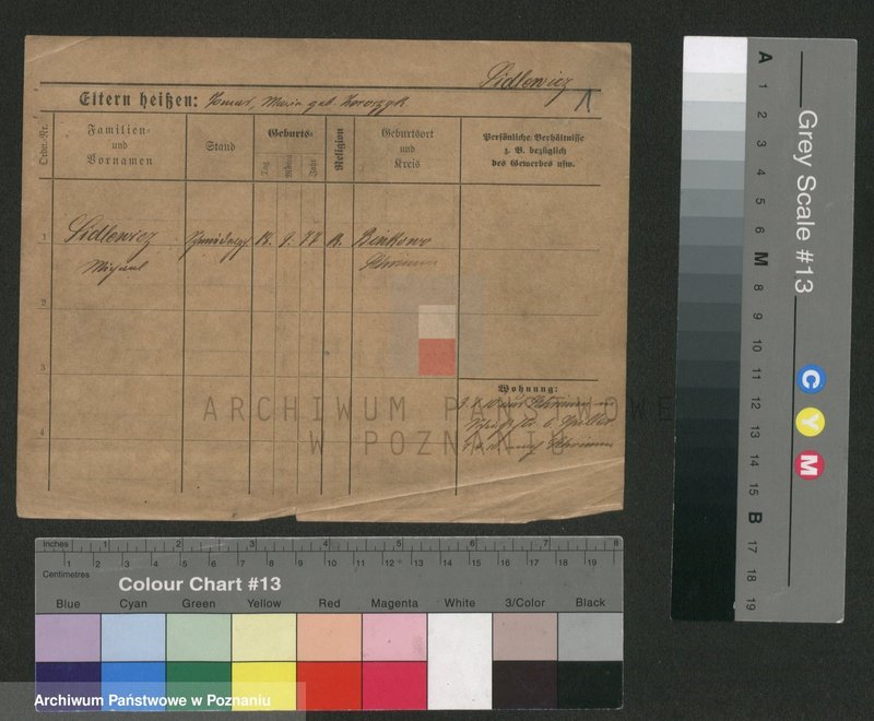 Obraz 5 z jednostki "Sidlewicz - Sieplinski"