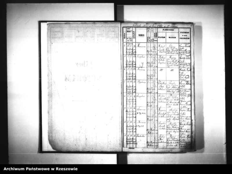 image.from.unit.number "Księga urodzeń - Siedliska"