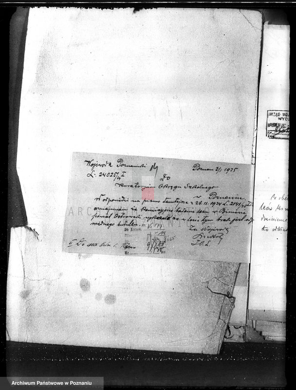 Obraz 18 z jednostki "Nadzór nad gospodarką w lasach majętności Gorzno-Biniew powiat ostrowski"