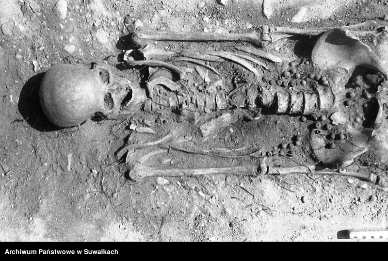 image.from.unit.number "Wykopaliska w Szwajcarii koło Suwałk."