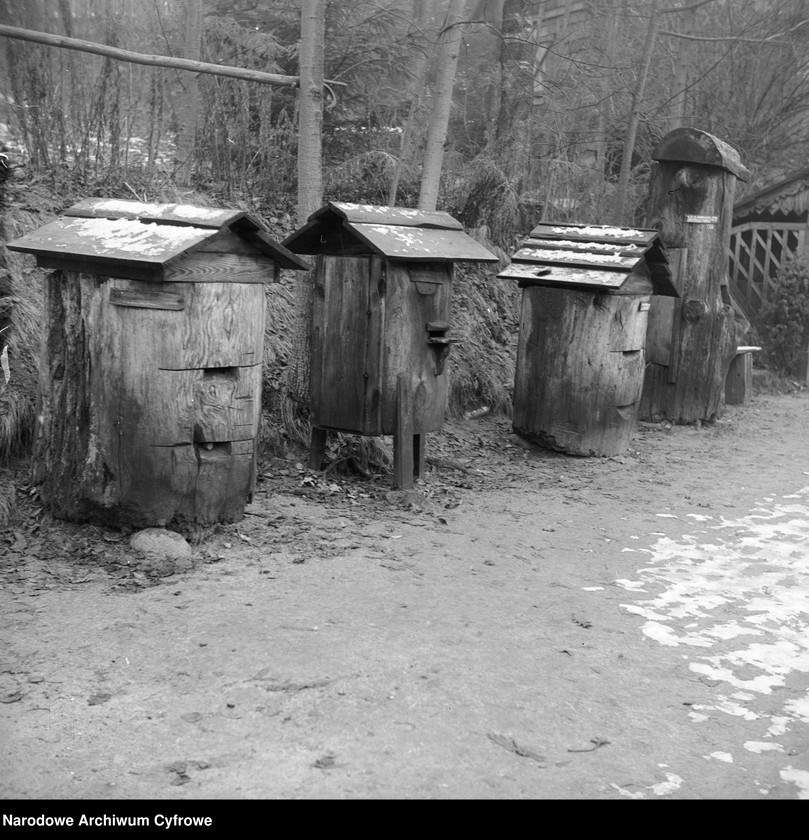 image.from.collection.number "Bartnictwo że Ho! Ho!111"