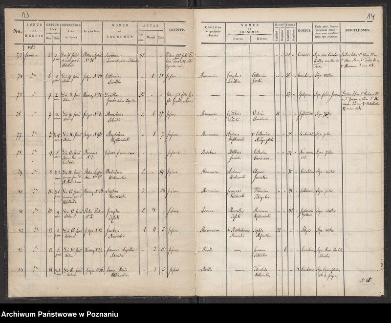 Obraz 8 z jednostki "Księga zgonów"