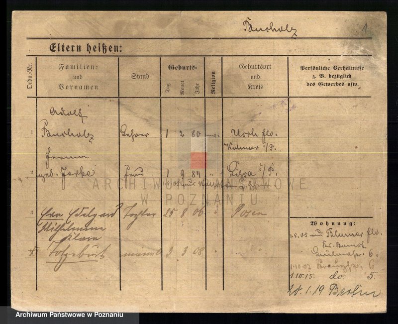 Obraz 3 z jednostki "Buchholz - Buczyński"