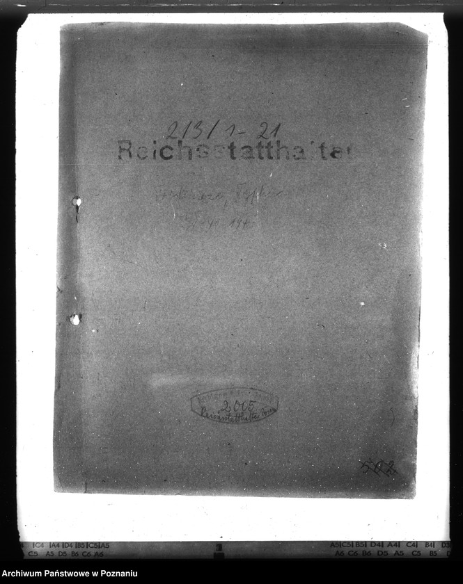 Obraz 4 z jednostki "Trichinose, Typhus"