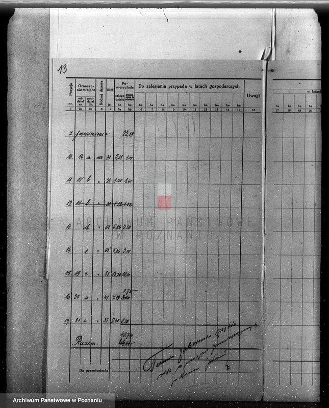 Obraz 19 z jednostki "Plan urządzenia gospodarstwa leśnego dla lasu majętności Lizie powiat nowotomyski"