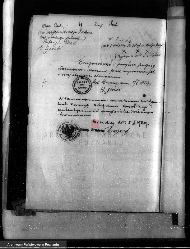 Obraz 8 z jednostki "Majątek Krwony powiat kolski /nadzór nad gospodarką leśną/"