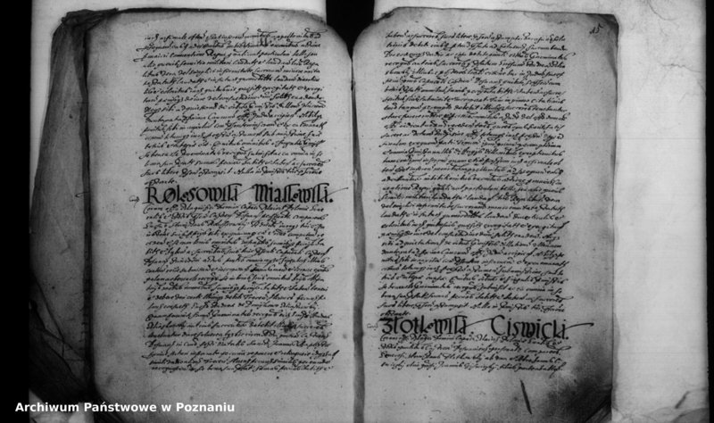 Obraz 16 z jednostki "Inscriptiones [inducta]"