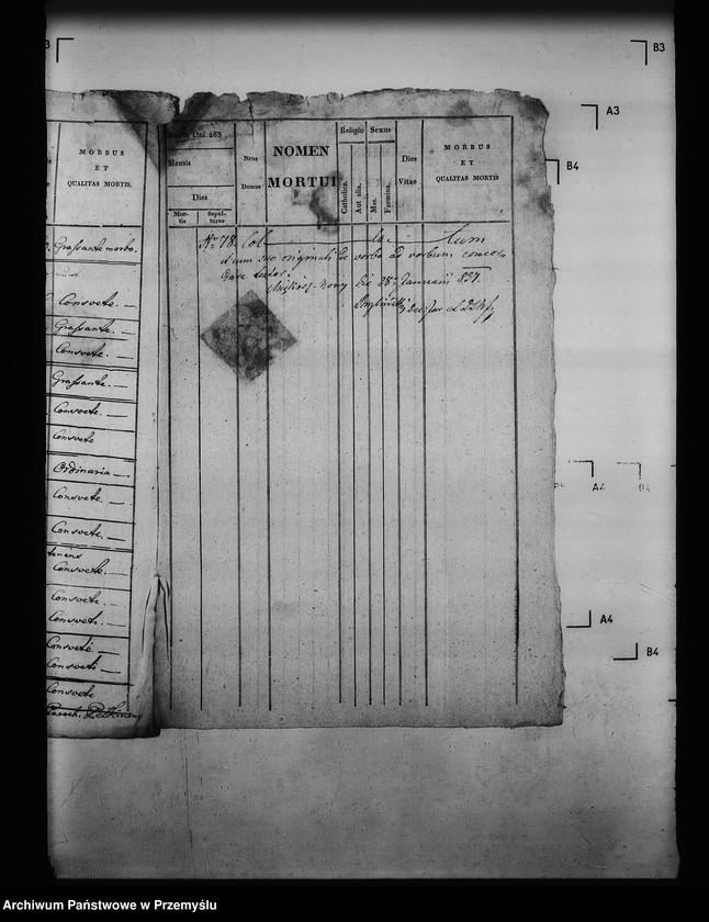 image.from.unit.number "[Kopie ksiąg metrykalnych parafii Pełkinie z filiami Wierzbna, Wólka Pełkińska (dekanat Jarosław)]"