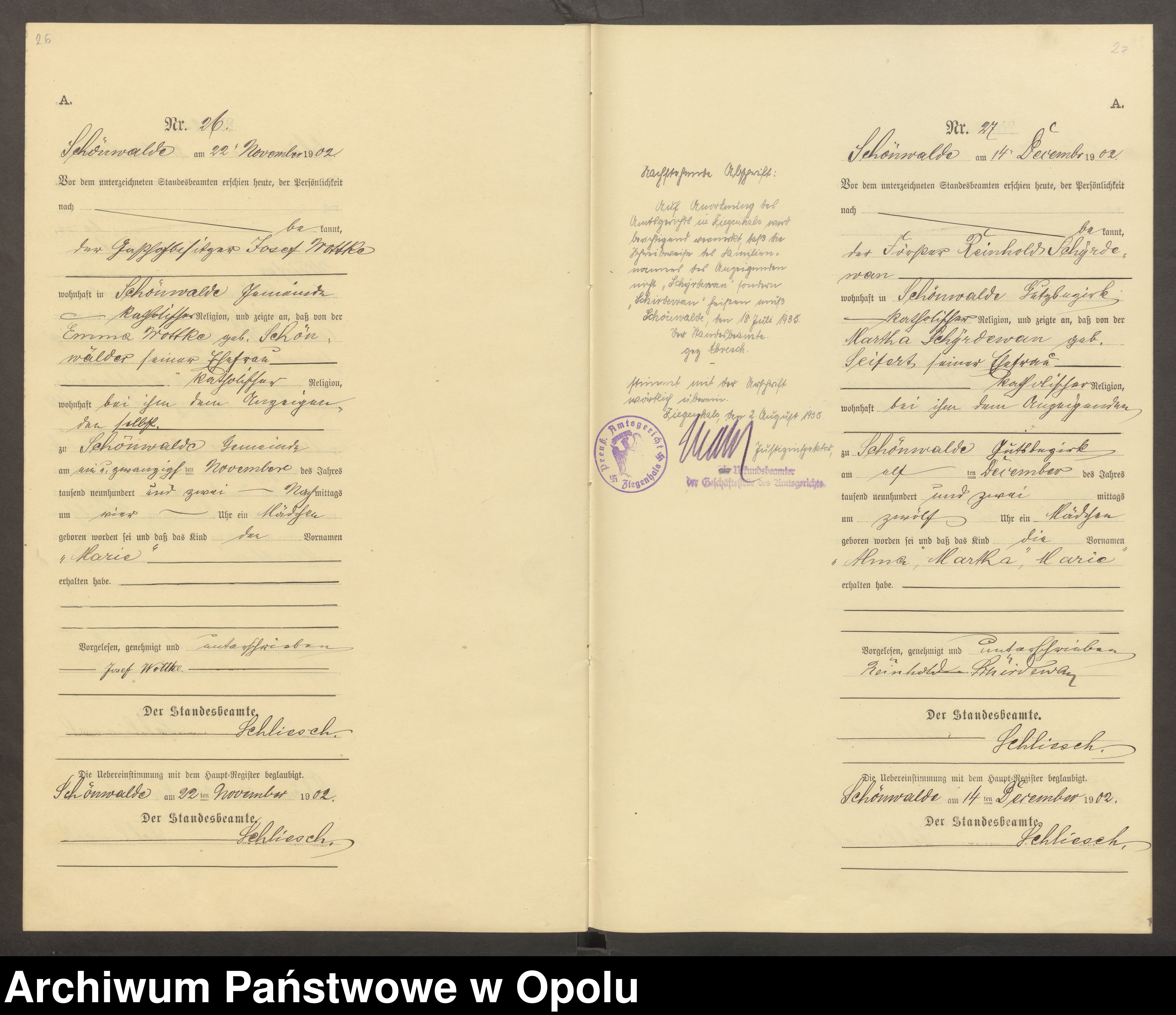 Skan z jednostki: Geburts-Neben-Register des Standesamts Schönwalde pro 1902