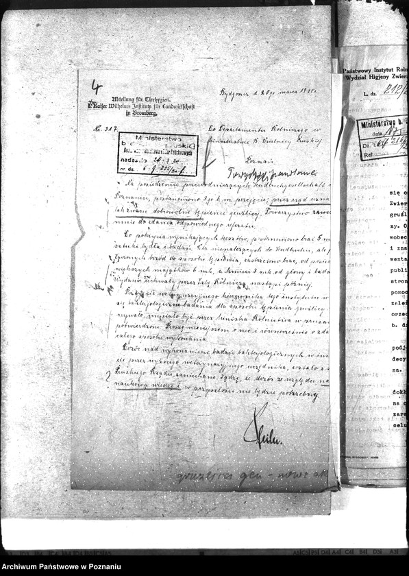 Obraz 8 z jednostki "Gruźlica"