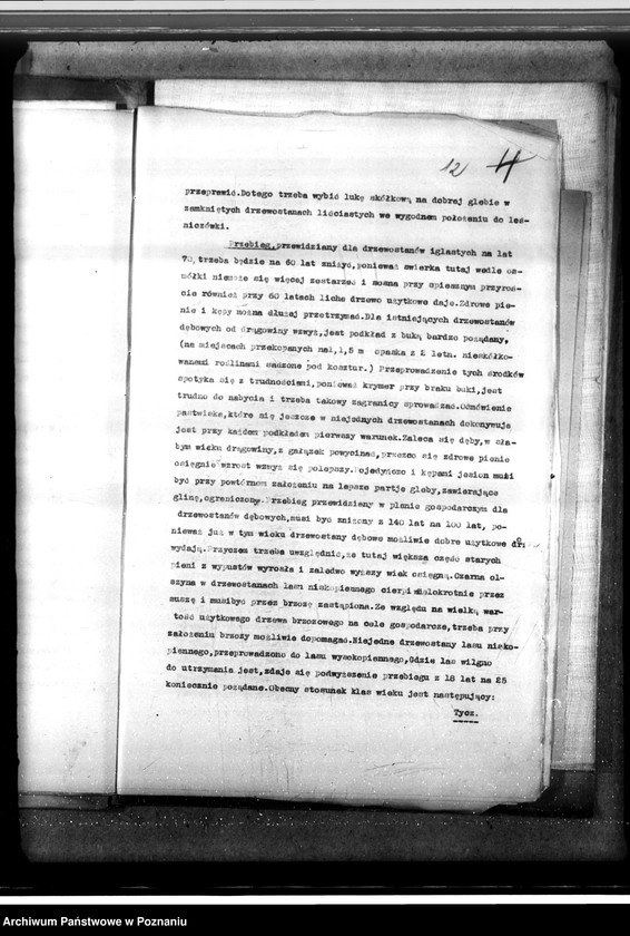 Obraz 16 z jednostki "Majętność leśna Smolice w powiecie gostyńskim"