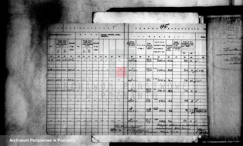 Obraz 9 z jednostki "Operat szacunkowy majątku Białebłota powiatu szubińskiego"