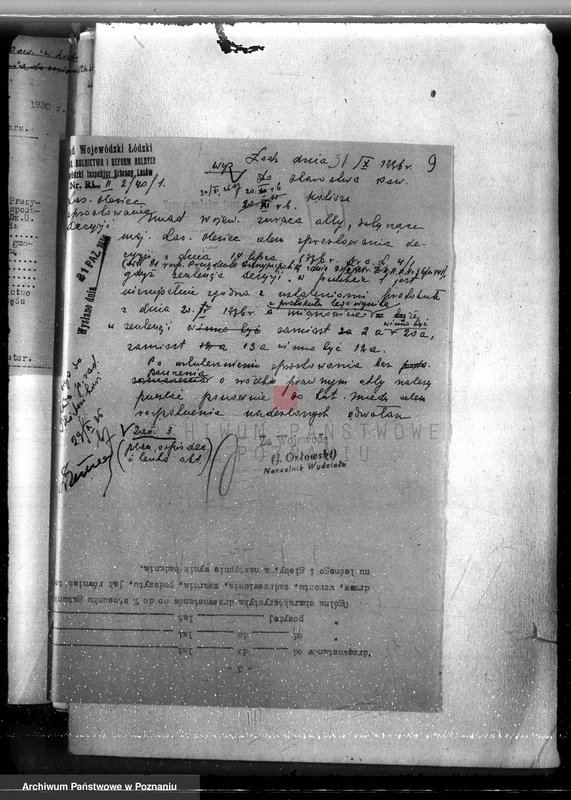 Obraz 13 z jednostki "Majętność /leśna/ Olesiec-Chocz powiat koniński"