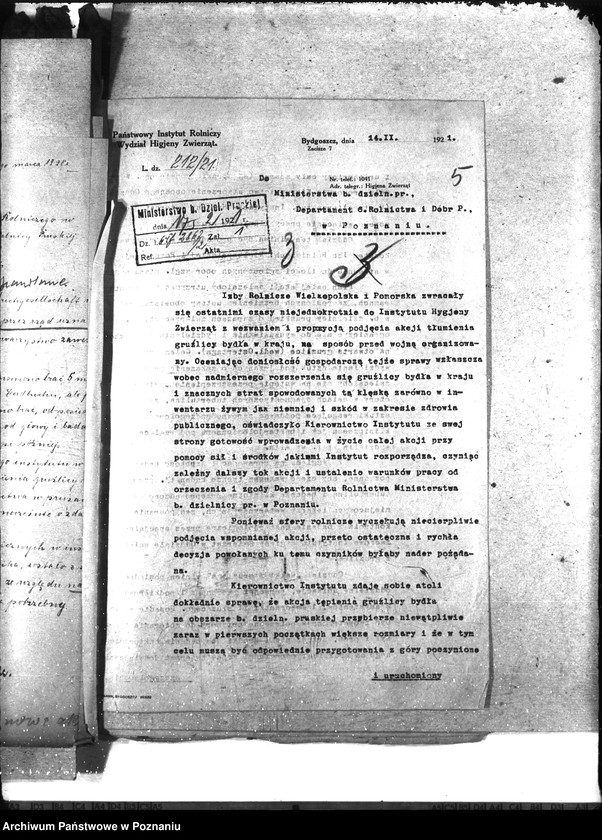 Obraz 9 z jednostki "Gruźlica"