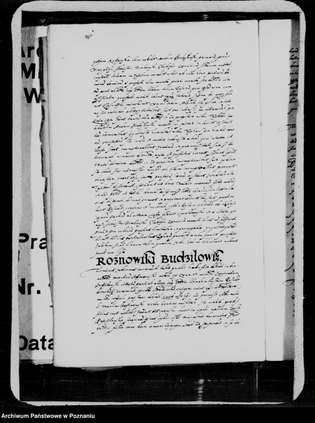 Obraz 13 z jednostki "Inscriptiones, relationes, decreta [inducta]"