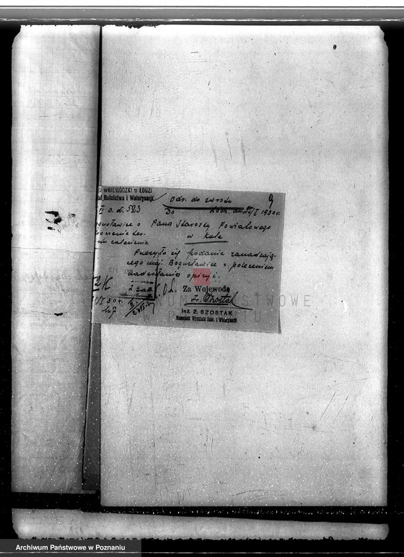 Obraz 13 z jednostki "Sprawa wyłączenia obszarów leśnych z majątku Bogusławice powiatu kolskiego"