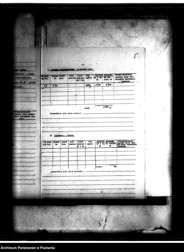 Obraz 15 z jednostki "Administracja przejściowa majątku Strzeszyn powiatu poznańskiego"