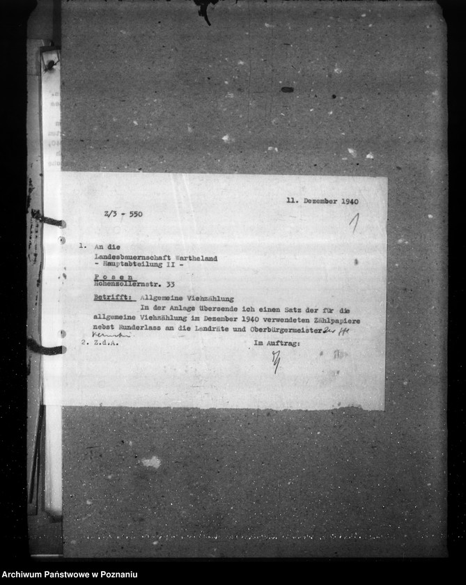 Obraz 5 z jednostki "Zarządzenia i korespondencja w sprawie sporządzenia spisu bydła"