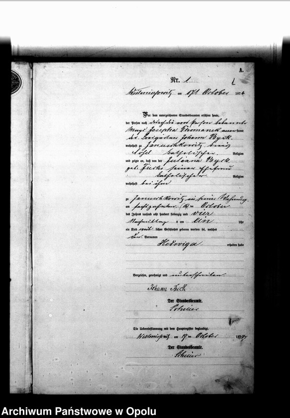 Obraz z jednostki "Geburts-Neben-Register Wielmirzowitz [1874]"