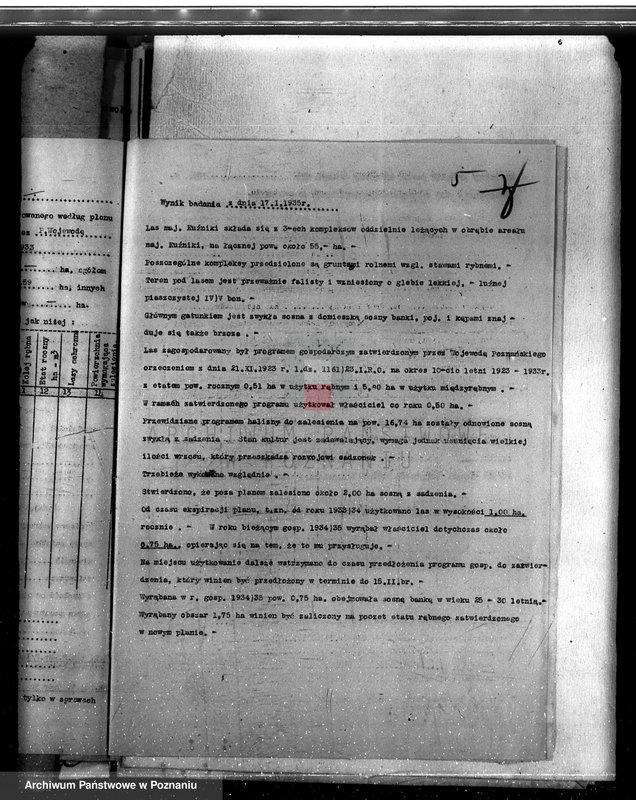 Obraz 9 z jednostki "Lasy majątku Kuźniki powiatu kępińskiego"