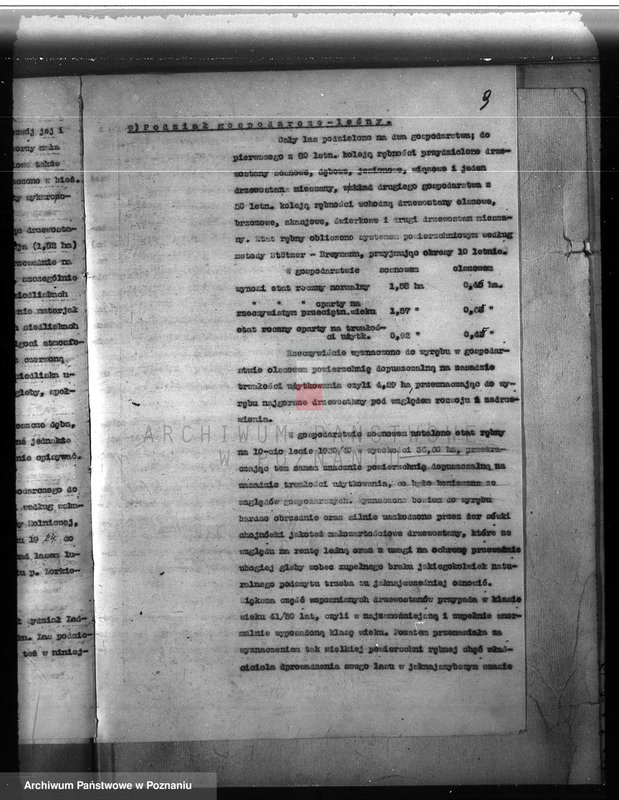 Obraz 13 z jednostki "Majątek Lutom w powiecie międzychodzkim 1930-1940 Plan urządzenia gospodarstwa leśnego"